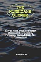 Algopix Similar Product 17 - THE HURRICANE SUMMER How To Avoid A