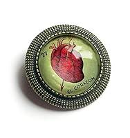 Algopix Similar Product 10 - El Corazon Heart Glass And Brass Brooch