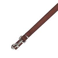Algopix Similar Product 8 - Zack  Zoey Nylon Dog Lead 6Feet