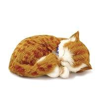 Algopix Similar Product 3 - 88 Unlimited Orange Tabby