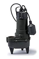 Algopix Similar Product 15 - ECOFLO Products RSE50W Cast Iron