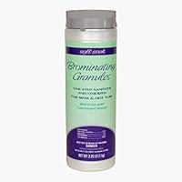 Algopix Similar Product 9 - SpaGuard Soft Soak Brominating Granules