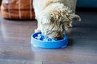 Algopix Similar Product 4 - Outward Hound Fun Feeder Slo Bowl Slow