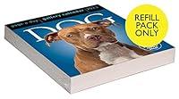 Algopix Similar Product 6 - Dog PageADay Gallery Calendar Refill