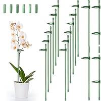 Algopix Similar Product 10 - 12 Pcs Adjustable Plant Support Stakes