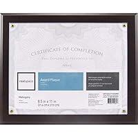 Algopix Similar Product 15 - Realspace Award Plaque 812 x 11
