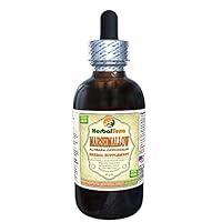 Algopix Similar Product 9 - Marshmallow Althaea Officinalis