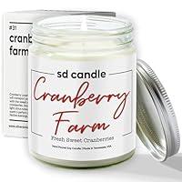 Algopix Similar Product 15 - Silver Dollar Candle Cranberry Farm