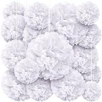 Algopix Similar Product 16 - White Tissue Paper Pom Poms  Assorted