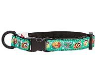 Algopix Similar Product 6 - RC Pets Kitty Breakaway Cat Collar
