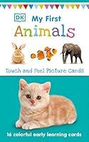 Algopix Similar Product 15 - My First Touch and Feel Picture Cards