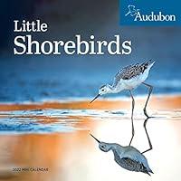 Algopix Similar Product 2 - Audubon Little Shorebirds Mini Wall