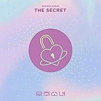 Algopix Similar Product 14 - Secret (Mini Album Vol 2)