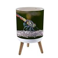 Algopix Similar Product 9 - UQK145ZVG Trash Can with Lid Dragonfly