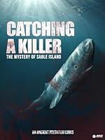 Algopix Similar Product 11 - Catching A Killer The Mystery Of Sable