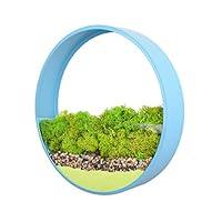 Algopix Similar Product 18 - Ecosides Wall Mounted Planter Wall