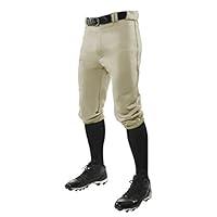 Algopix Similar Product 7 - CHAMPRO Boys Triple Crown Knicker Style