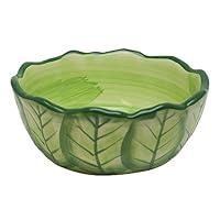 Algopix Similar Product 7 - Kaytee VegeTBowl Cabbage 6 inches