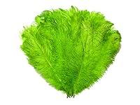 Algopix Similar Product 5 - 12 Lb  1824 Lime Green Large