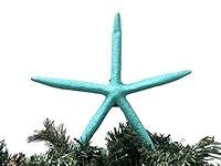 Algopix Similar Product 11 - Tropical Turquoise Finger Starfish