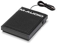 Algopix Similar Product 16 - SP1 HeavyDuty Sustain Pedal