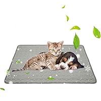 Algopix Similar Product 2 - Jaaytct Pet Cooling Mat for Dogs Cats