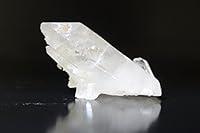 Algopix Similar Product 10 - Collectors Grade Specimen ARKANSAS