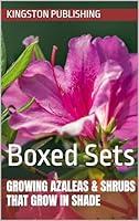 Algopix Similar Product 14 - Growing Azaleas  Shrubs That Grow in