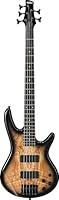 Algopix Similar Product 9 - Ibanez GSR205SM 5 String Electric Bass