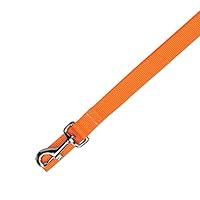 Algopix Similar Product 4 - Zack  Zoey Basic Nylon Dog Leash