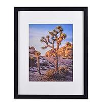 Algopix Similar Product 6 - A PLUS MAX Poster Frames 20x24 Picture