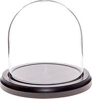 Algopix Similar Product 10 - Plymor 4 x 4 Glass Display Dome