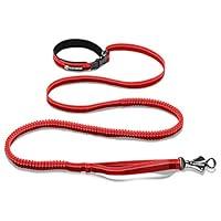 Algopix Similar Product 11 - RUFFWEAR  Roamer Leash Red Currant