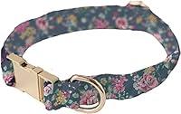 Algopix Similar Product 3 - Mary Square Dog Collar Augusta Small