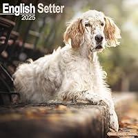 Algopix Similar Product 9 - English Setter Calendar 2025  Square