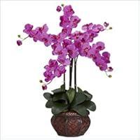 Algopix Similar Product 20 - Phalaenopsis with Decorative Vase Silk