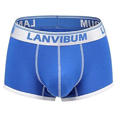 Men's Solid Briefs Breathable Modal Underpants Bulge Pouch Support Stretch  Panty Mans Comfortable Low Rise Underwear Blue at  Men's Clothing  store