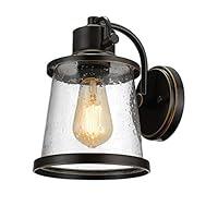 Algopix Similar Product 13 - Globe Electric 44127 Charlie 1Light