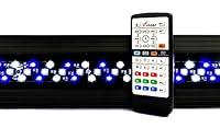 Algopix Similar Product 4 - Finnex Marine 247 Saltwater Aquarium