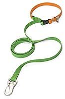 Algopix Similar Product 13 - West Paw Jaunts Dog Leash with Comfort
