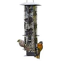 Algopix Similar Product 15 - PerkyPet 3361SR SquirrelBeGone Bird