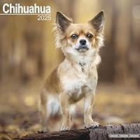 Algopix Similar Product 2 - Chihuahua Calendar 2025  Square Dog