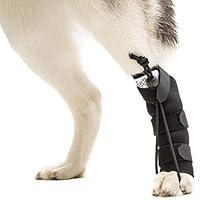 Algopix Similar Product 6 - Walkin Rear NoKnuckling Training Sock