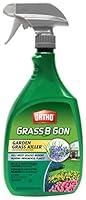 Algopix Similar Product 17 - Ortho 0438580 Grass B Gon Garden Grass