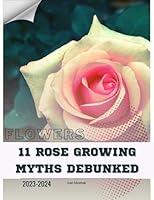 Algopix Similar Product 17 - 11 Rose Growing Myths Debunked Become