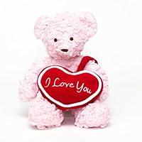 Algopix Similar Product 10 - Bears For Humanity 10 I Love You Bear