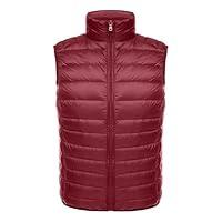 Algopix Similar Product 9 - Mens Casual Puffer Vest Quilted Padded