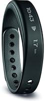 Algopix Similar Product 19 - Garmin vvosmart  Black Bundle Small