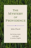 Algopix Similar Product 19 - The Mystery of Providence in Modern