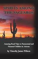 Algopix Similar Product 15 - Spirits Among the Saguaros Amazing